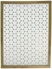 10155.011824 Flanders Precisionaire 18 By 24 1 Flat Panel Ez Air Filter 12-p 031949150761