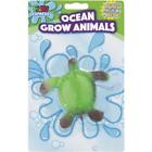 00889070400473 13753148 Fun Express Large Grow