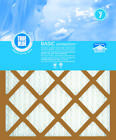 212241 Protect Plus Industries True Blue Pleated Air Filter 641590002106