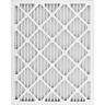 313101522501 Nordic Pure Allergen Pleated Merv Fpr Air Filters