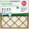 64100.012424 Rheem Lot Of Basic Household Pleated Air Filter 031949488505