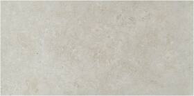 Aklnpwesshel18x36m-sm Ackland Aklnpwes18x36m-sm Sample Only Of - Shell
