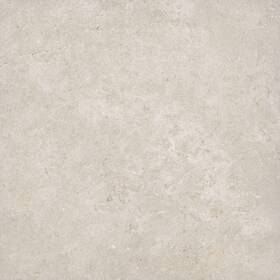 Aklnpwesshel24x24m-sm Ackland Aklnpwes24x24m-sm Sample Only Of - Shell