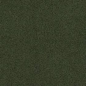 Akltfwigr15x100-30mm96oz-sm Ackland Akltf15x100-30mm96oz-sm Sample Only Of - Green Akltfwigr15x100-30mm96oz-sm Ackland Akltf15x100-30mm96oz-sm Sample Only Of - Green