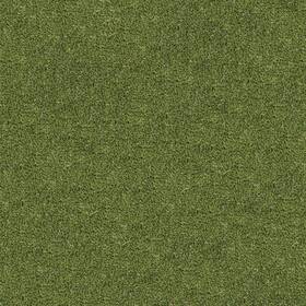 Akltfwigr15x100-45mm91oz-sm Ackland Akltf15x100-45mm91oz-sm Sample Only Of - Green