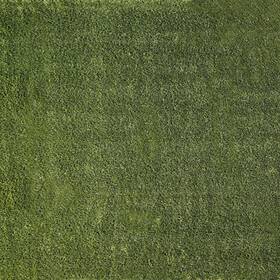 Akltplugr6x8-38mm81oz-sm Ackland Akltp6x8-38mm81oz-sm Sample Only Of - Lushscape