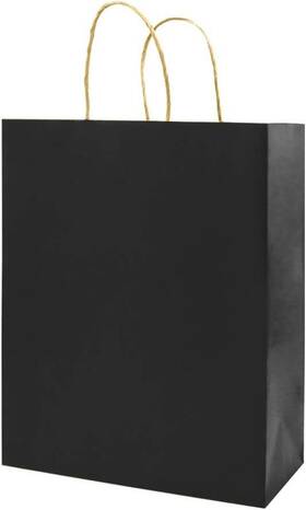 B200-216 Bagmad 50 Pack 5.25x3.25x8 Inch Plain Black Small 1 Count Of