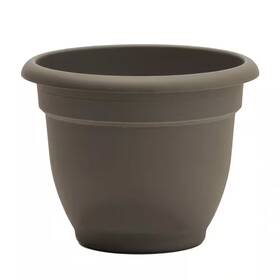 Bloem 313093991996 Ariana 13 Inch L X W 10.25 H 12 Qts. Peppercorn Indoor/outdoor Plast