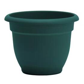Bloem 705353935817 Ariana 13 Inch L X W 10.25 H 12 Qts. Charleston Green Indoor/outdoor