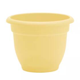 Bloem 726084048560 Ariana 13 Inch L X W 10.25 H 12 Qts. Daffodil Indoor/outdoor Plastic