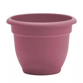 Bloem 744110850468 Ariana 13 Inch L X W 10.25 H 12 Qts. Dusty Rose Indoor/outdoor Plast