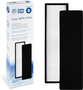 Fette Filter 313111921950 - Flt4825 Premium True Hepa H13 B Compatible With Germguardi