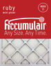 Fr16.25x21.25a-4 Accumulair Actual Size Ruby Filter Merv 886566311510