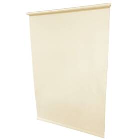 Ve5i Friedland Venus Ivory Economy Light Filtering Roller Shade 55 Inch W
