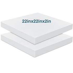 Frienda Friendapsdh2355 2 Pack Inch X 22 Upholstery High Density Foam Cushion Replacement Sq