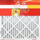 Kb14x25x1 Dupont New High Allergen 886566181281