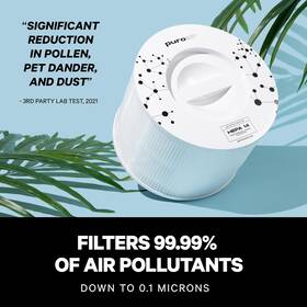 Puroair 691041964484 2-pack Of Genuine 240 Replacement Filters - Hepa Filter For Up