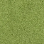 Ackland AKLTF15X100-16MM78OZ-SM Sample Only Of Fairway Green. Fixed Price $18.88.