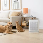 Brand New Levoit Vital 100S-P Air Purifiers For Large Room Up To 1800SF. Fixed Price $148.99.