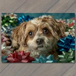 Sticker Small Dog Portrait Colorful Bows Expressive Eyes. Fixed Price $5.99.