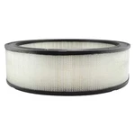 Baldwin Filters PA2079 Air Filter, 13-7/8 X 4 In.. Fixed Price $19.39.