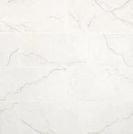 Ackland AKNPTBEL12X24M-CA-SAMPLE Only Of Carmara. Fixed Price $12.62.