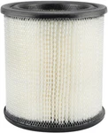 Baldwin PA2335 Air Element. Fixed Price $24.00.