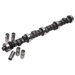 Edelbrock 7182 Engine Camshaft And Lifter Kit. Fixed Price $482.18.