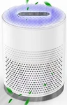 Hepa Filter Purifier For 99.97% Dust, Pollen, Mold Spores, Pets Hair, Asthma. Fixed Price $49.99.