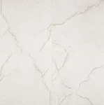 Ackland AKNPTBEL24X24M-CA-SAMPLE Only Of Carmara. Fixed Price $12.62.
