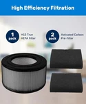 10500 Us Made Quality True Hepa Filter+ 2 Carbon Filer Kit For (EV-10). Fixed Price $24.00.