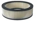 Baldwin Air Filter PA602. Fixed Price $28.10.