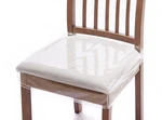Pack Plastic Dining Chair Seat 20 W X 17 4''H, Clear. Fixed Price $39.99.