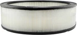 Air Filter-diesel Hastings AF809. Fixed Price $45.99.