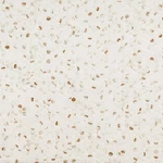 Ackland AKM-P-12X10RDM-CA 10" 12" Porcelain Penny Floor Gold. Fixed Price $142.83.