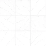 Ackland AKLNPBEL24X24M-CA Belvia In. 0.79 Matte Lune. Fixed Price $67.15.