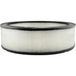 Baldwin Filters PA2079 Air Filter, Round 4ZPV4. Fixed Price $17.95.