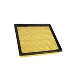 Acdelco A3176C Air Filter For 13-20 Cadillac Chevrolet Impala Xts. Fixed Price $30.83.