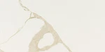 Ackland AKNPTARD12X24P-CA-SAMPLE Only Of Vena. Fixed Price $12.62.