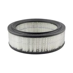 Baldwin PA2036 Engine Air Filter Axial Seal Element. Fixed Price $46.86.
