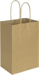 Bagmad 100 Pack 5.25X3.25X8 Inch Brown Small Paper Bags With Handles. Fixed Price $43.98.