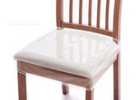 Pack Plastic Dining Chair Seat 20 W X 17 4''H, Clear. Fixed Price $32.95.