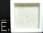 Meteorite Nwa Achondrite Martian Nakhlite 0998-0011 Micro/rare/case. Fixed Price $14.95.