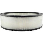 Baldwin PA2079 Air Element. Fixed Price $34.79.