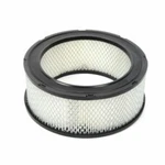 Carquest Standard Air Filter Replacement For Light-duty Vehicles, Oem Quality. Fixed Price $11.95.