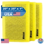 Rayair Supply 20X25 Replacement Filter Pads Designed To Fit Micropower Guard. Fixed Price $96.81.