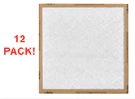 12-PACK! Flanders E-z Flow Ii Air Filter 10055.01202. Fixed Price $42.99.