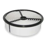 Hastings Filters AF894 Air Filter, 8-19/32 X 2-23/32 In.. Fixed Price $11.95.