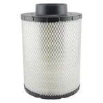 Baldwin Filters PA2818 Air Filter, 8-1/2 X 12-3/8 In.. Fixed Price $60.99.