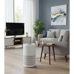 Tailulu D09 Air Purifier True Hepa Filter 3-STAGE Filtration White Low Noise. Fixed Price $42.99.
